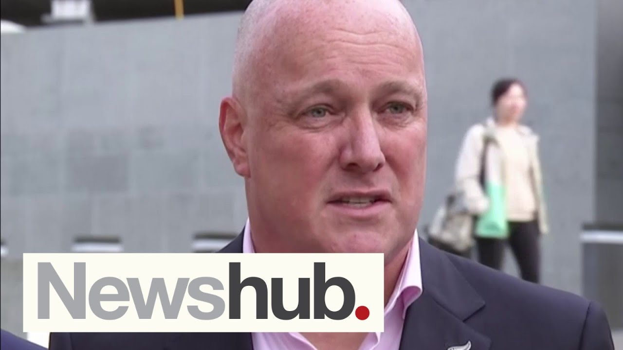 'Is that fair?': Politicians react as report reveals how much NZ's wealthiest pay in tax | Newshub