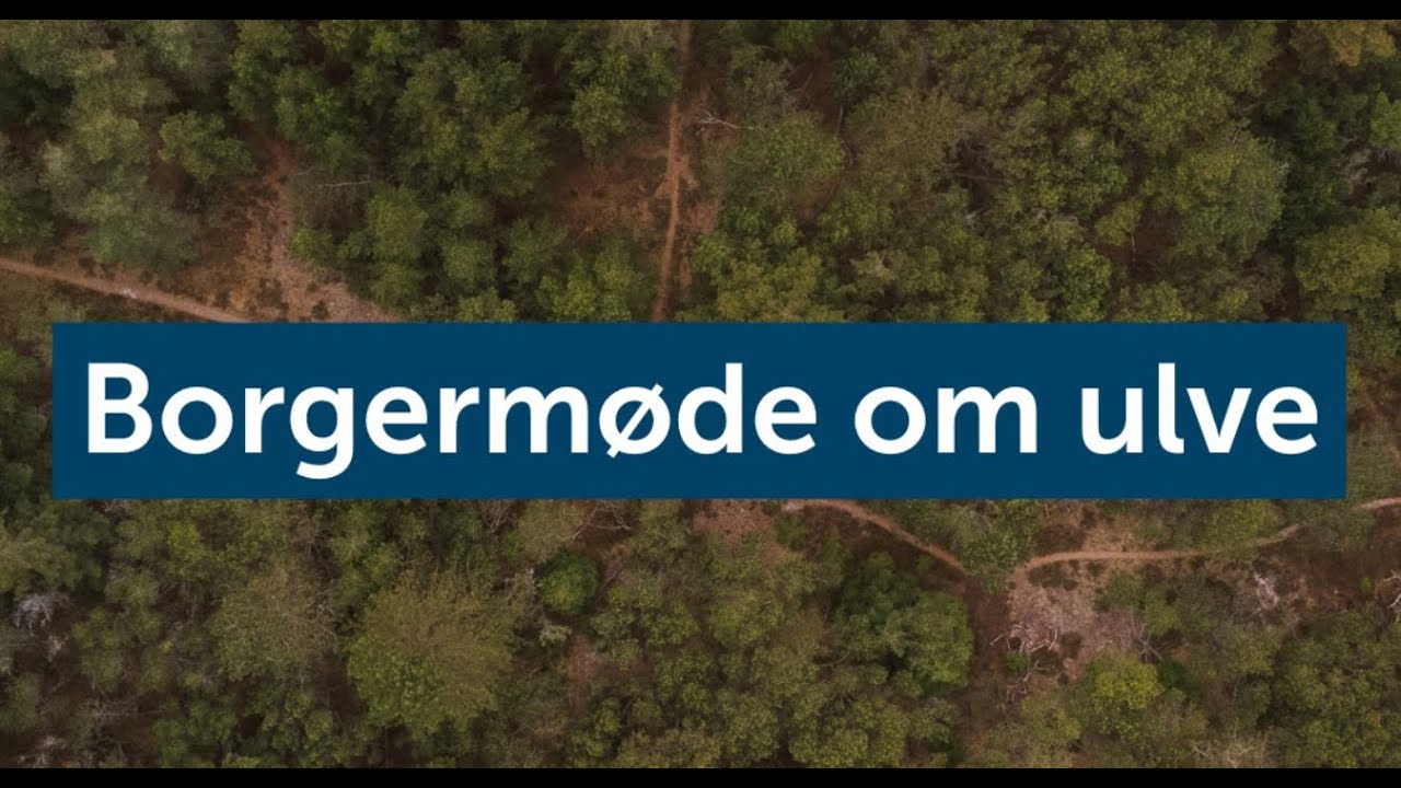 Borgermøde om ulve i Oksbøl
