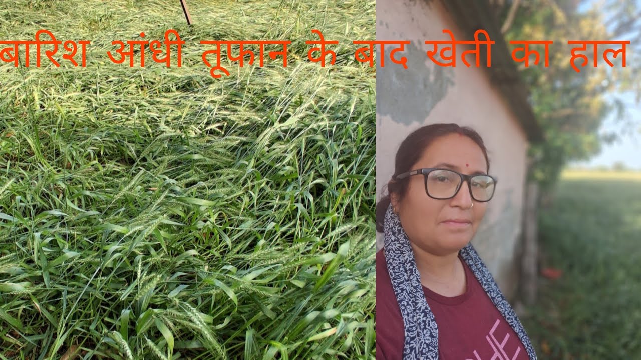 बारिश  के  बाद का हाल 
