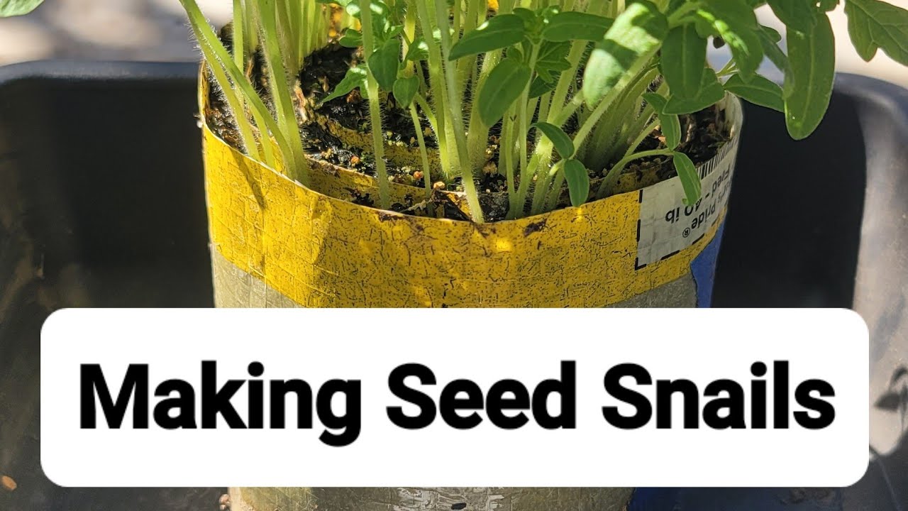 Seed Snails & Seed Rolls: The Easiest Way to Start Your Garden Adventures in 2026