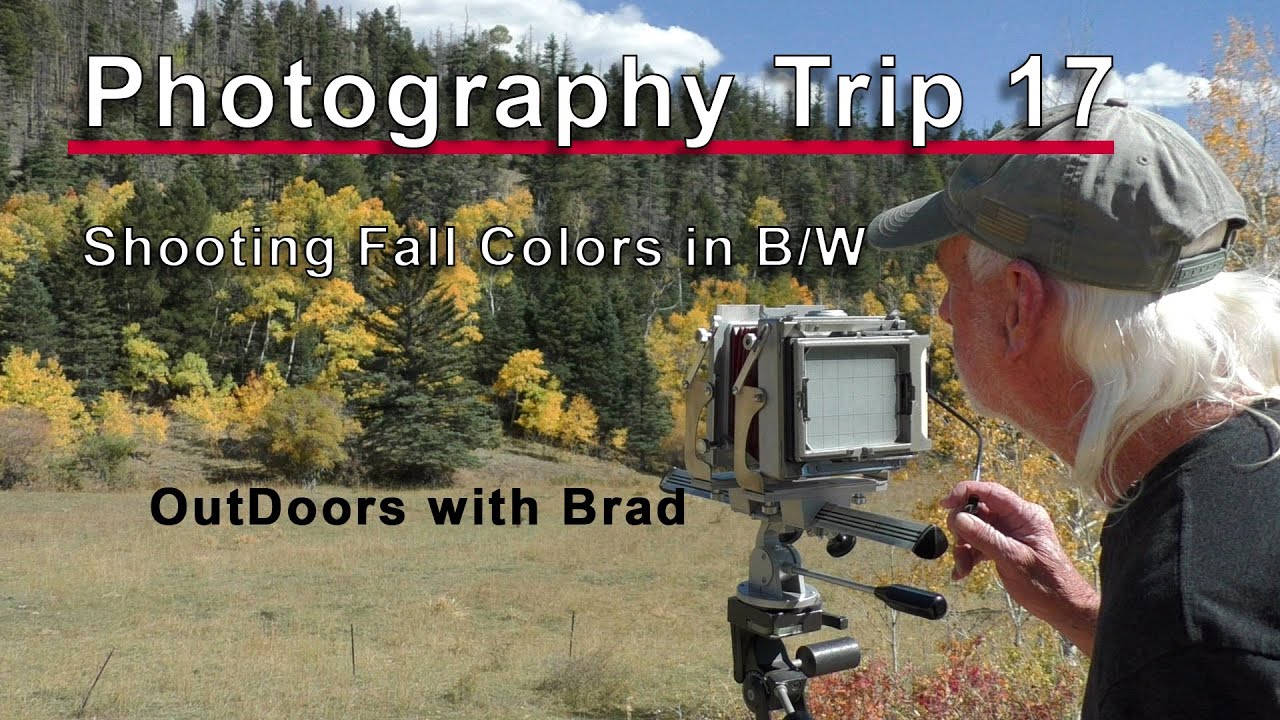 Photography Trip 17  Photographing Fall Colors in B/W on a 4x5 camera in Southern Colorado!!