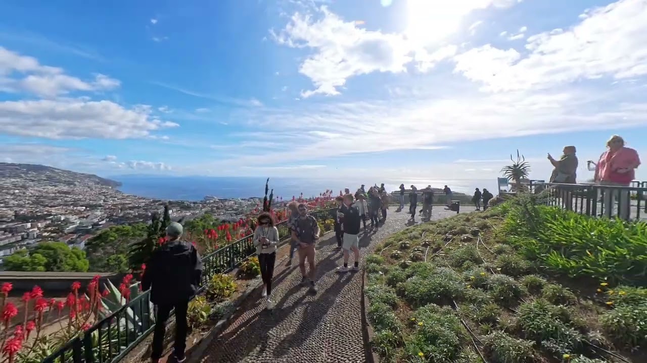 Funchal dall’Alto 🌍 Miradouro Pico dos Barcelos Vista Mozzafiato!