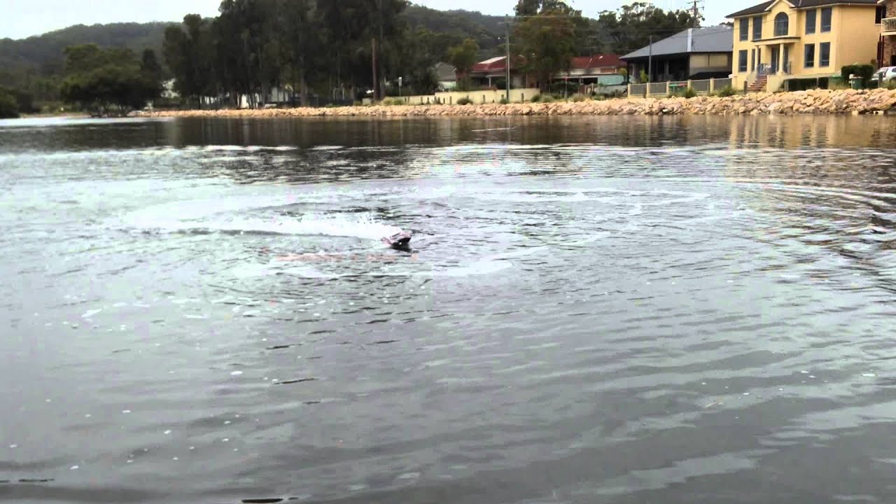 Centurion Mini Brushless Catamaran Boat (450mm) test run