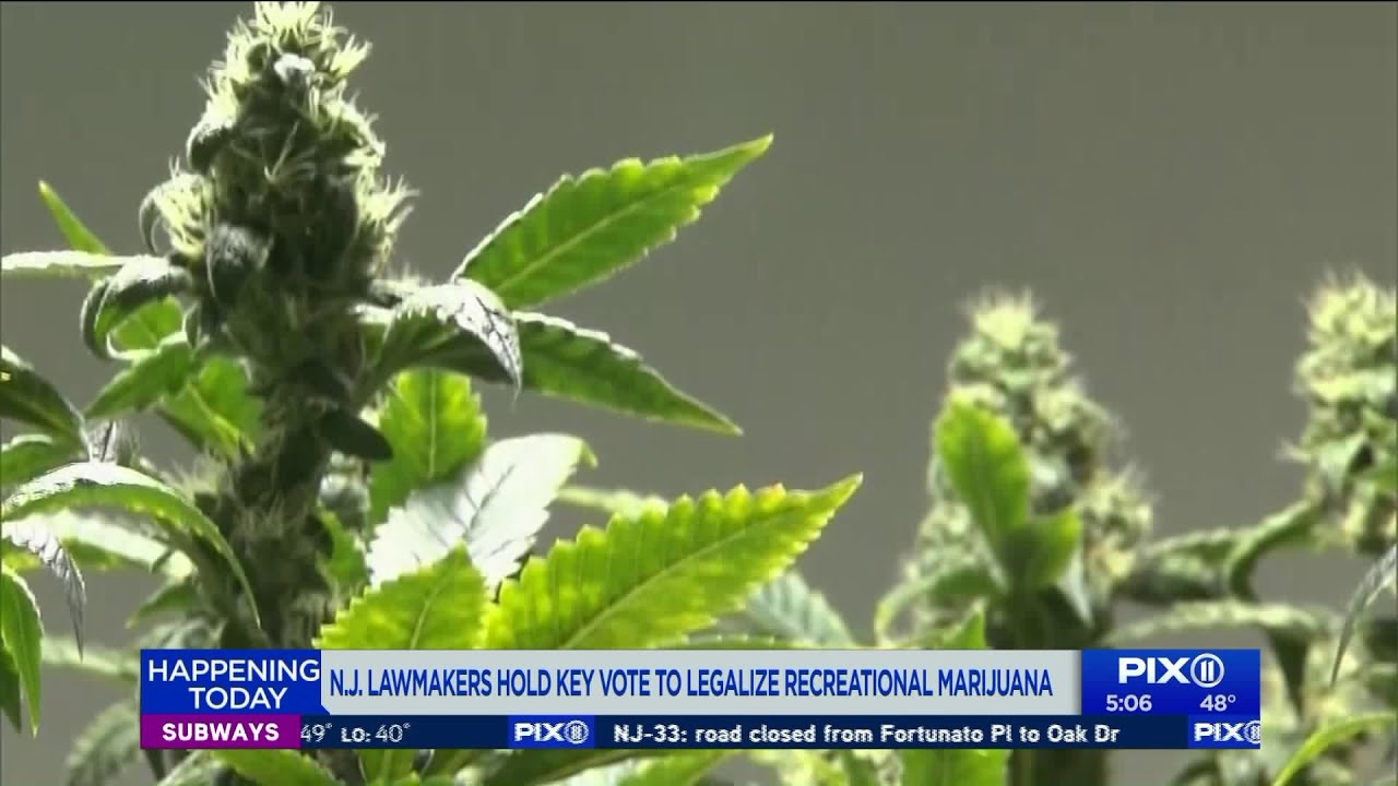 NJ lawmakers hold key vote to legalize recreational marijuana