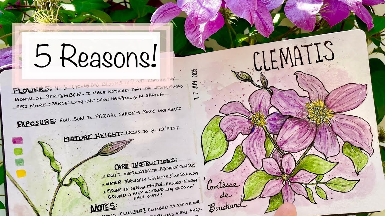 How to Start a Garden Journal! Sketchbook Ideas