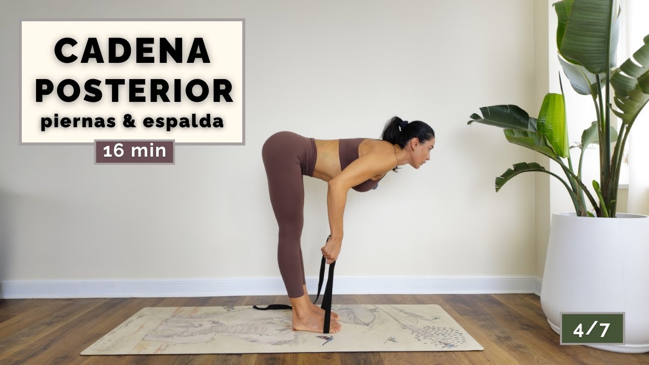Reto 7 Días Flexibilidad y Movilidad – Día 4 | Cadena Posterior (16 min)