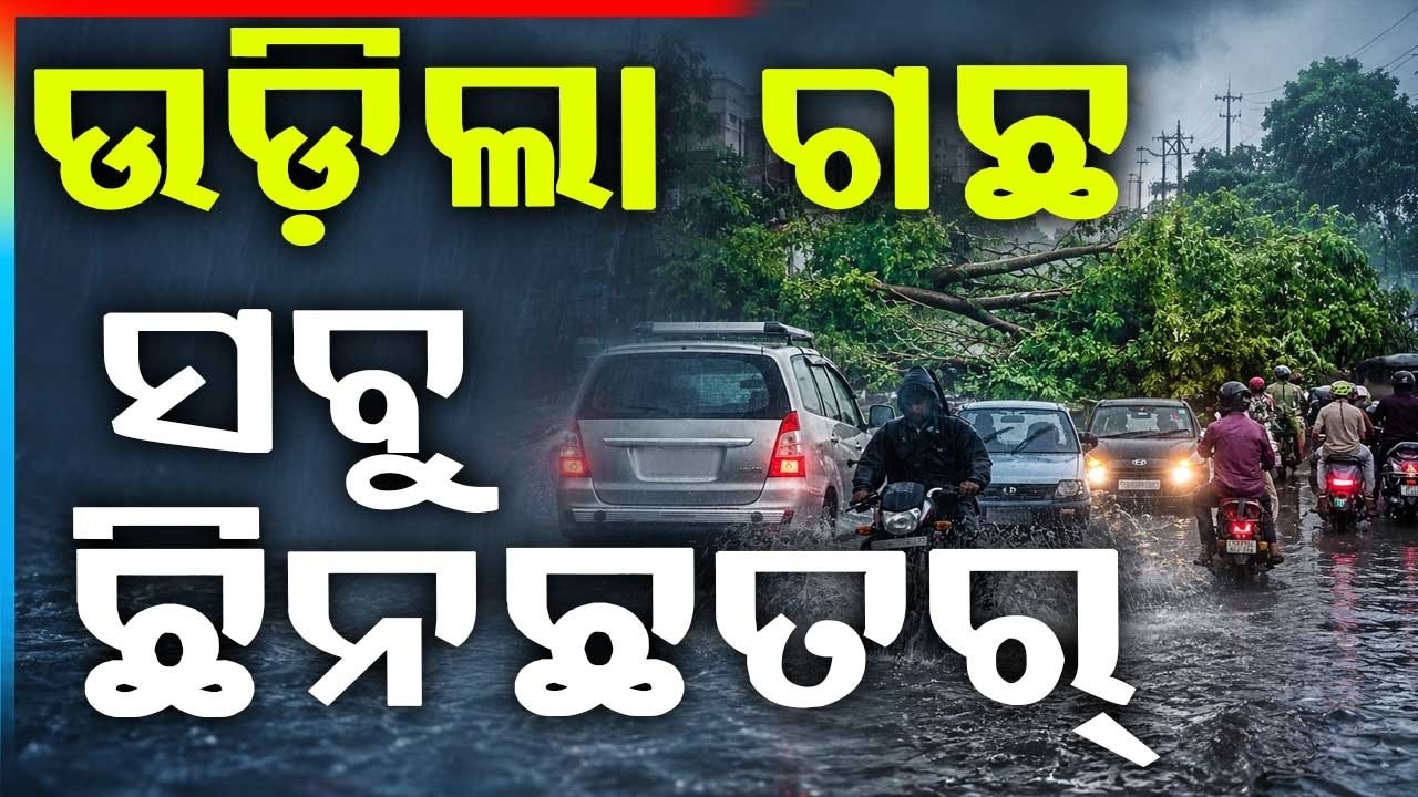 🔴Live | ଉଡ଼ିଲା ଗଛ ସବୁ ଛିନ ଛତର୍ | Kalabaishakhi | Weather Update | Argus News