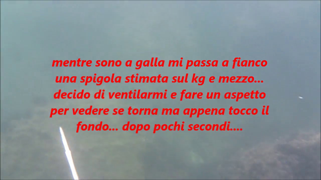 spigolona di santa marinella il video...