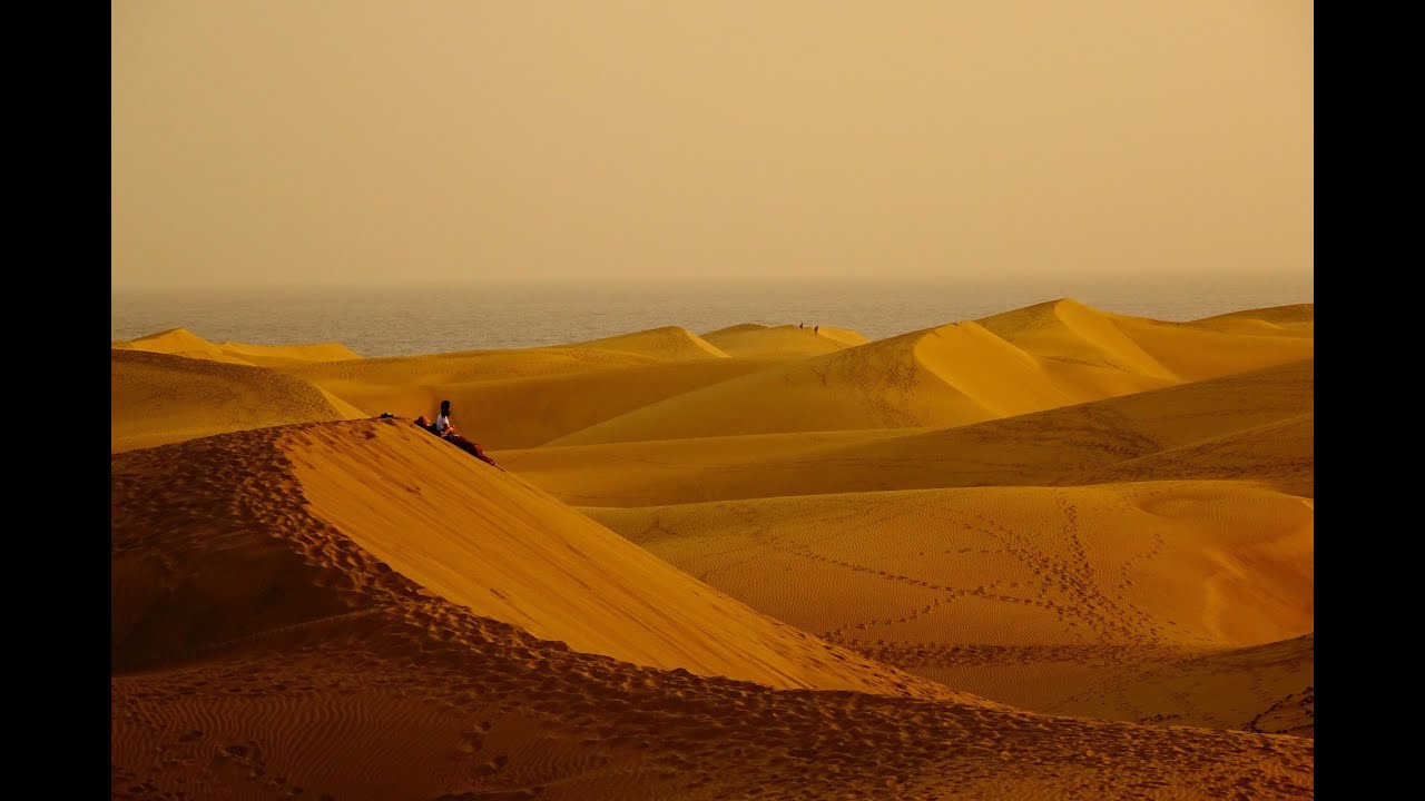 Just to see tracks in front of him... ; Desert - Hrtense Vlou