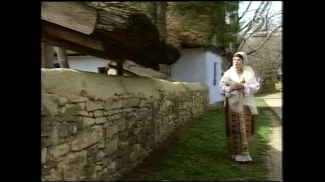Elena Roizen - Mă întorc din depărtare.(Arhiva familiei Roizen)
