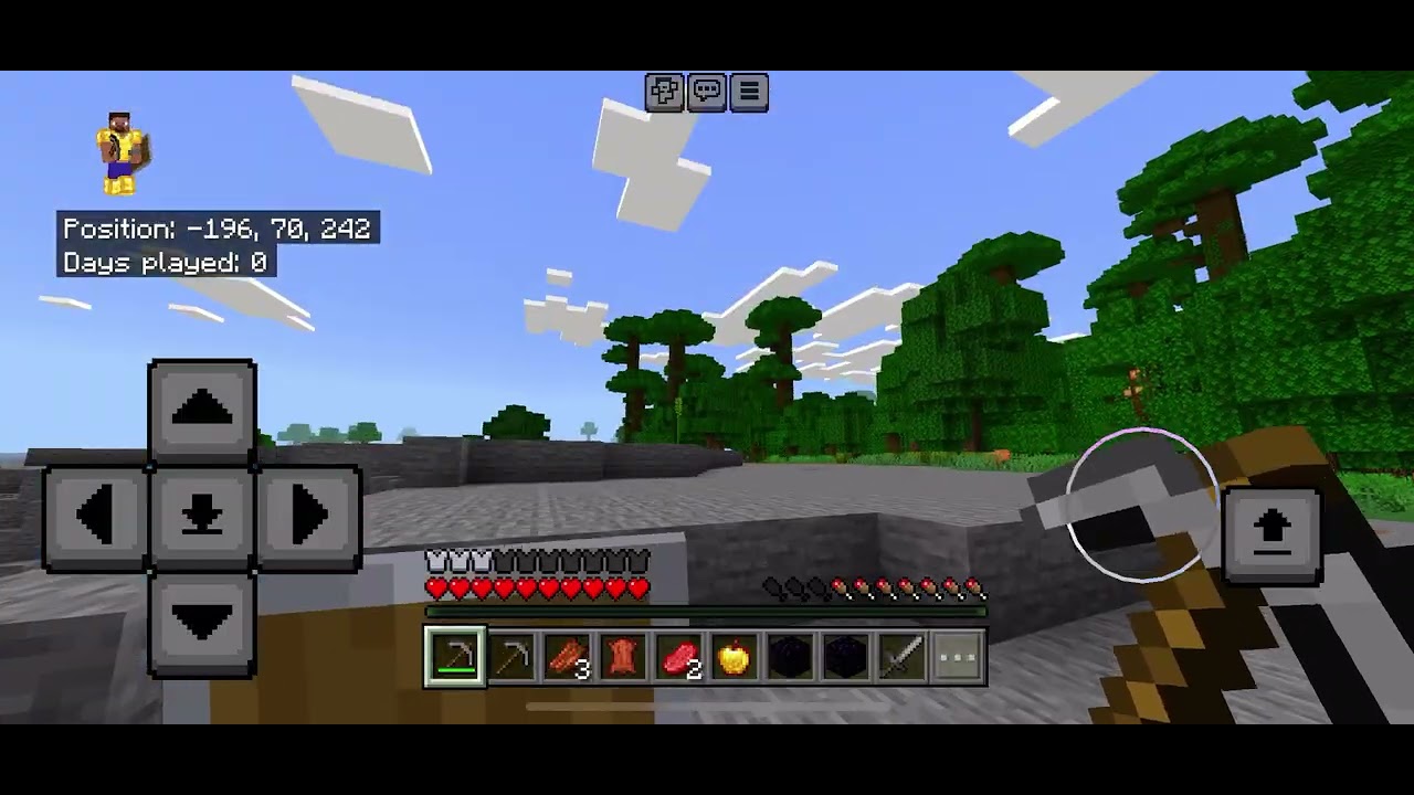 Playing Minecraft with my brother until 100 days 
