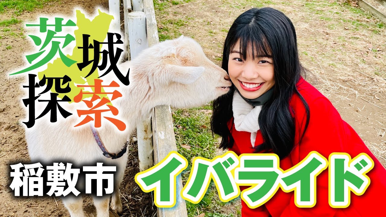 【茨城探索】こもれび森のイバライド　茨城県稲敷市。たくさんの動物とふれあえます（馬・羊・ポニー・ウサギetc）。アスレチックやBBQ、芝滑りなど一日中楽しめます。