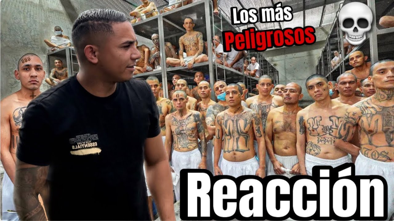 LA CÁRCEL MÁS INFERNAL Y EXTREMA DEL MUNDO  EL CECOT DEL SALVADOR - REACCIONANDO. 
