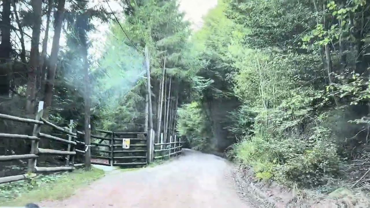 30-Minute Scenic Drive Through a Romanian Village and Forest | 2014 Dacia Duster