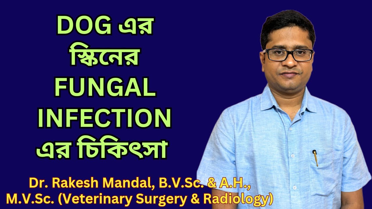 কুকুরের স্কিনের ফাংগাল ইনফেকশনের চিকিৎসা I DOG FUNGAL INFECTION TREATMENT I