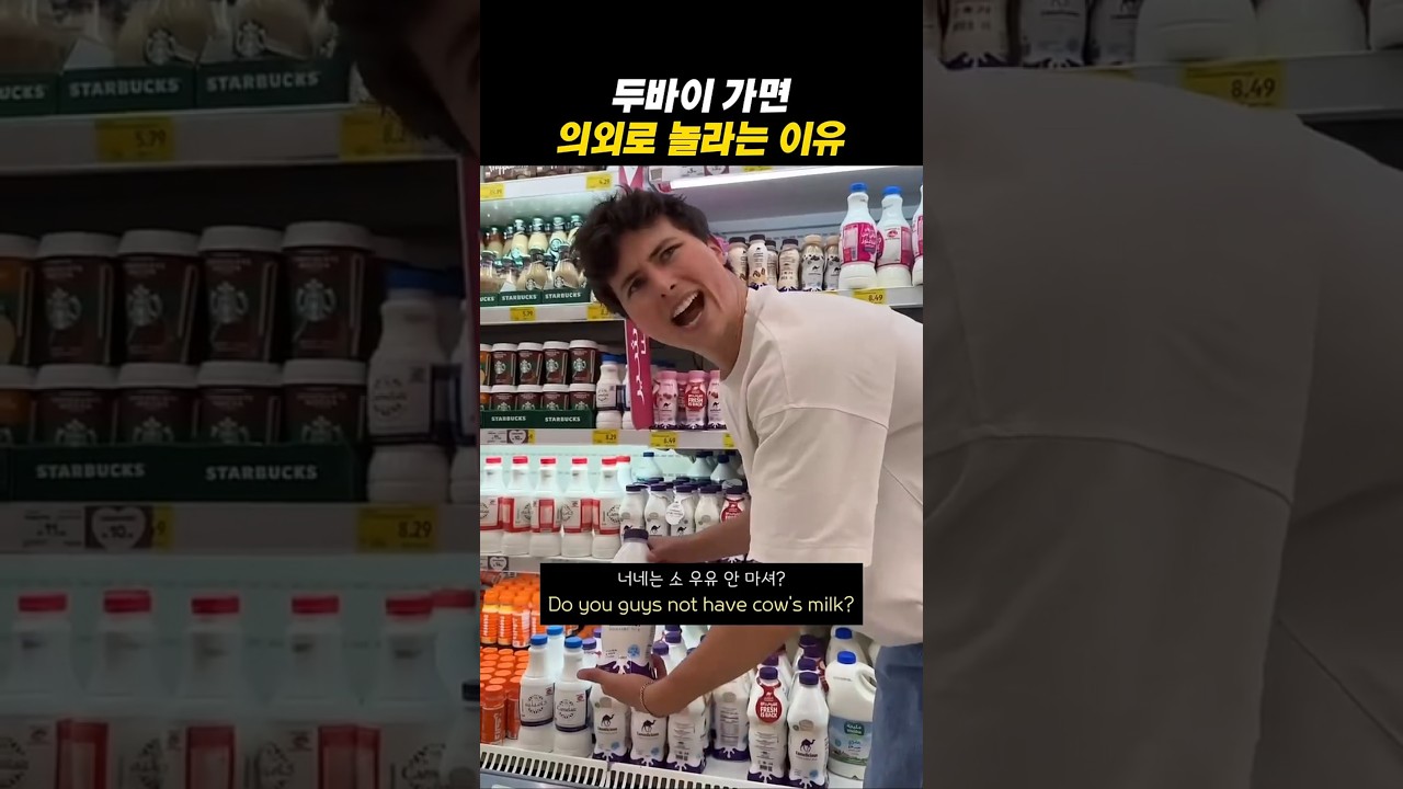 두바이 가면 의외로 놀라는 이유