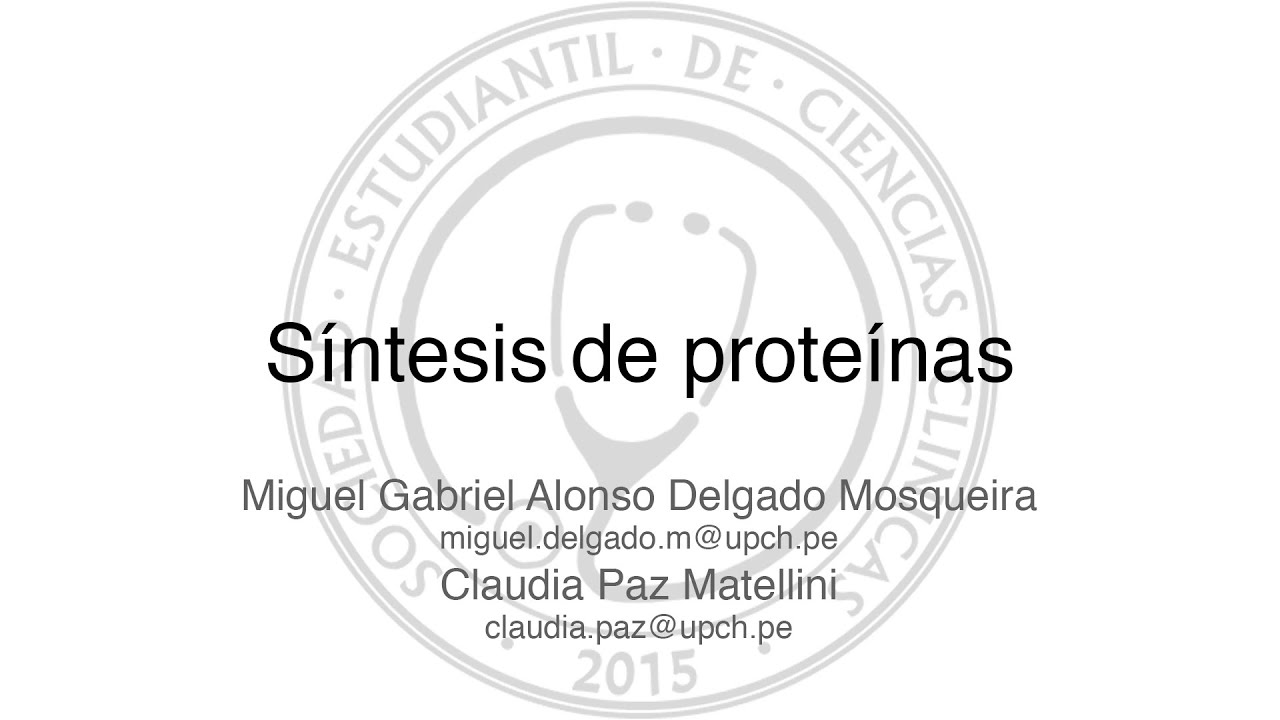 Síntesis de proteínas - Bioquímica