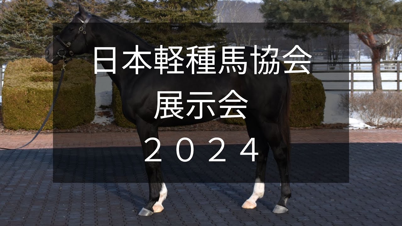 【日本軽種馬協会展示会2024】ストームキャット系の米GI馬シャープアステカなど10頭が登場！