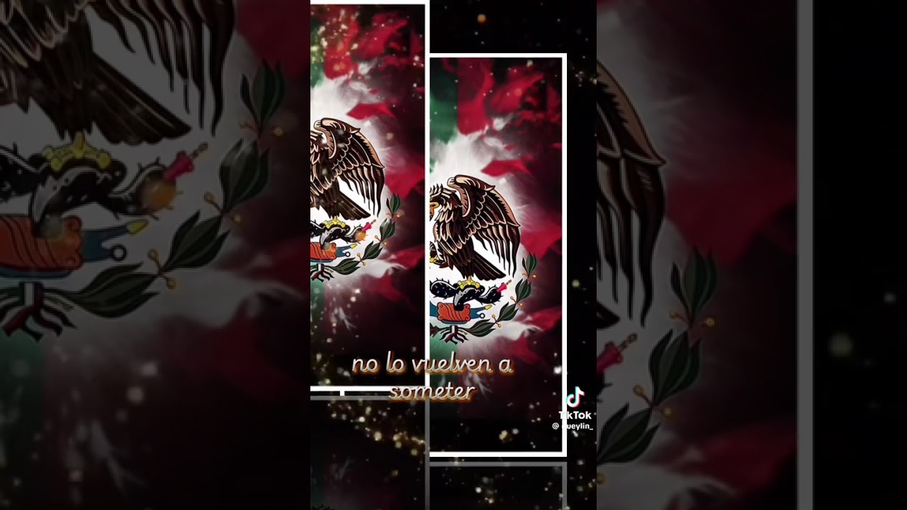 Somos mexicanos fuerza guerrera. 