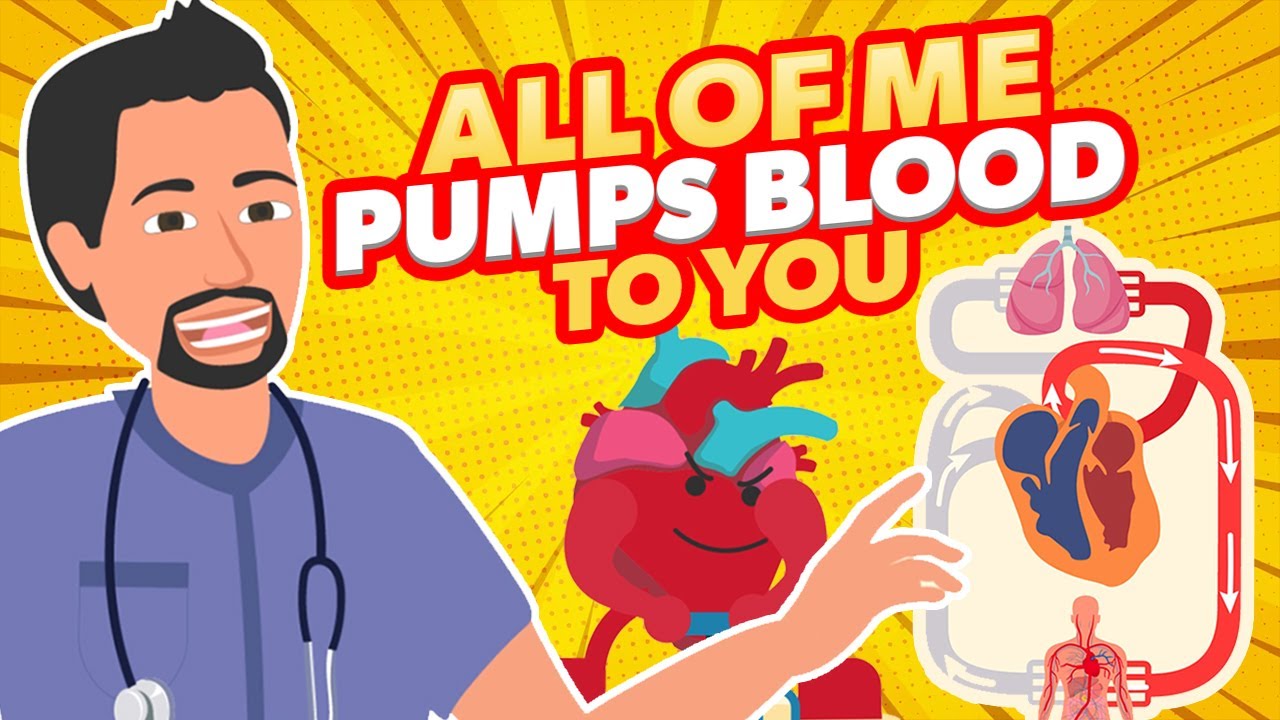 All of Me Song | Nurse Mike's Memory Music for Nursing Students