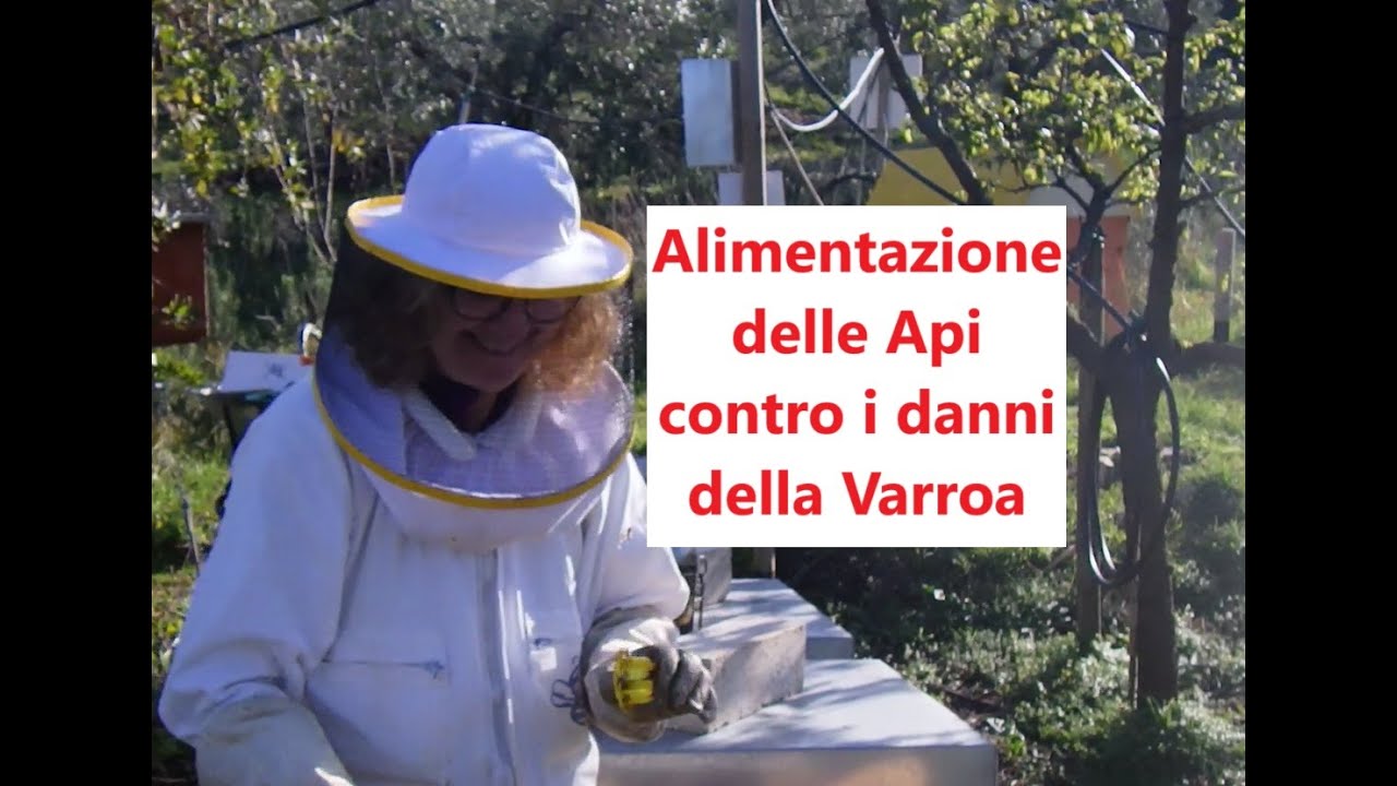 Alimentazione antivarroa per le Api