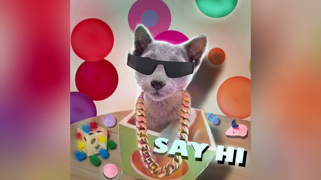 Say Hi (with Salvanic)