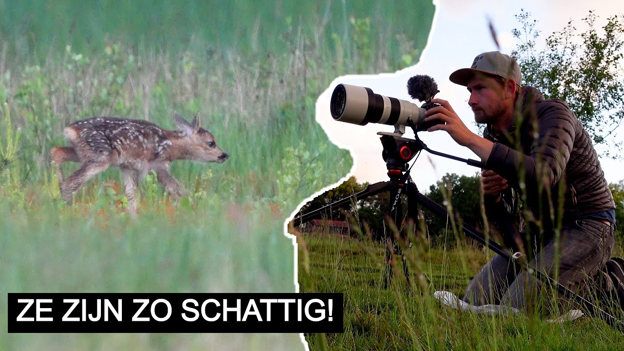 #262: Reekalfje voor de lens 😍! | Sony A7 IV
