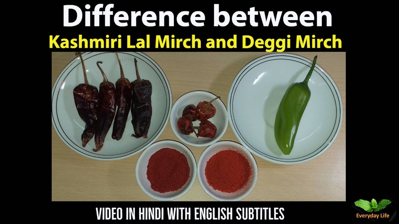 Difference between Kashmiri Red Chilli Powder & Deggi Mirch |  भारतीय मिर्चे  | Everyday Life #66
