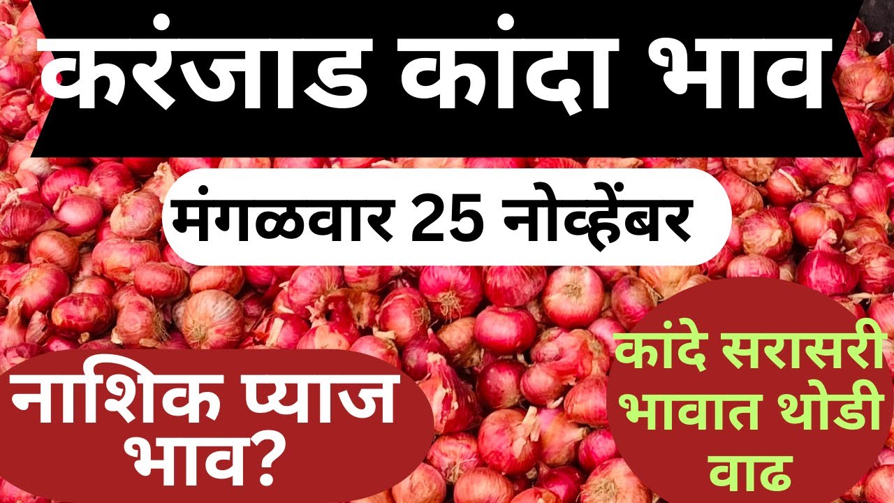 Karnjad Onion Price Today/25 November Nashik Onion Prices And Mandi Insights