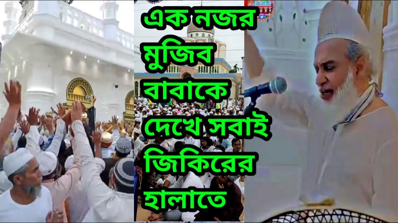 মুজিব বাবাকে এক নজর দেখে আশেক ভক্তের অন্তরে জিকিরের ঢেউ তুমি আওলাদে রাসুল তাই তোমাকে এত ভালোবাসি।
