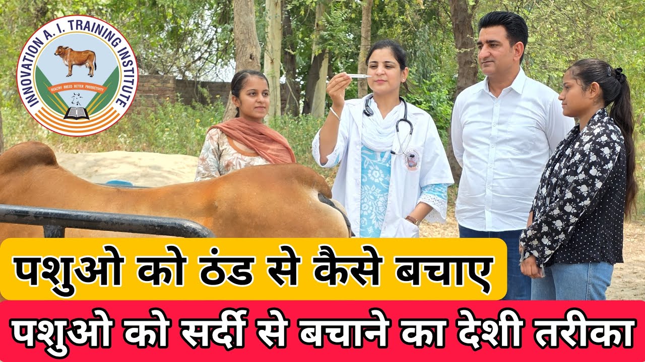 पशुओ को ठंड से बचाने का देशी इलाज | cow Buffalo cold fever ayurvedic treatment