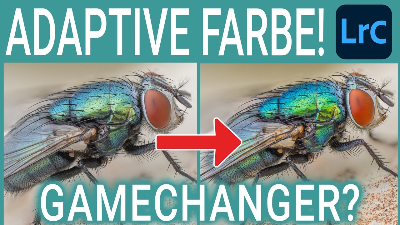 So verändert Adaptive Farbe deine Fotos! (Lightroom Feature Check)