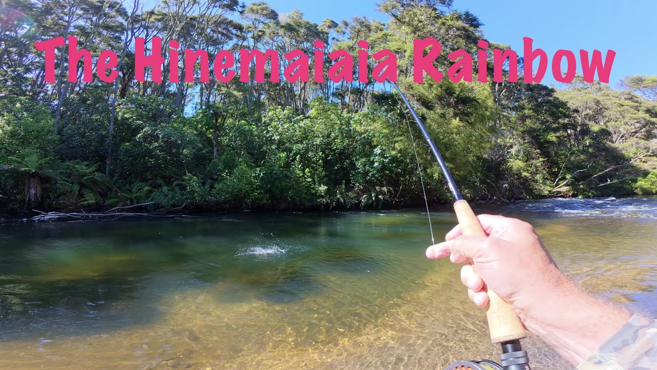 The Hinemaiaia Rainbow - Central North Island Fly Fishing