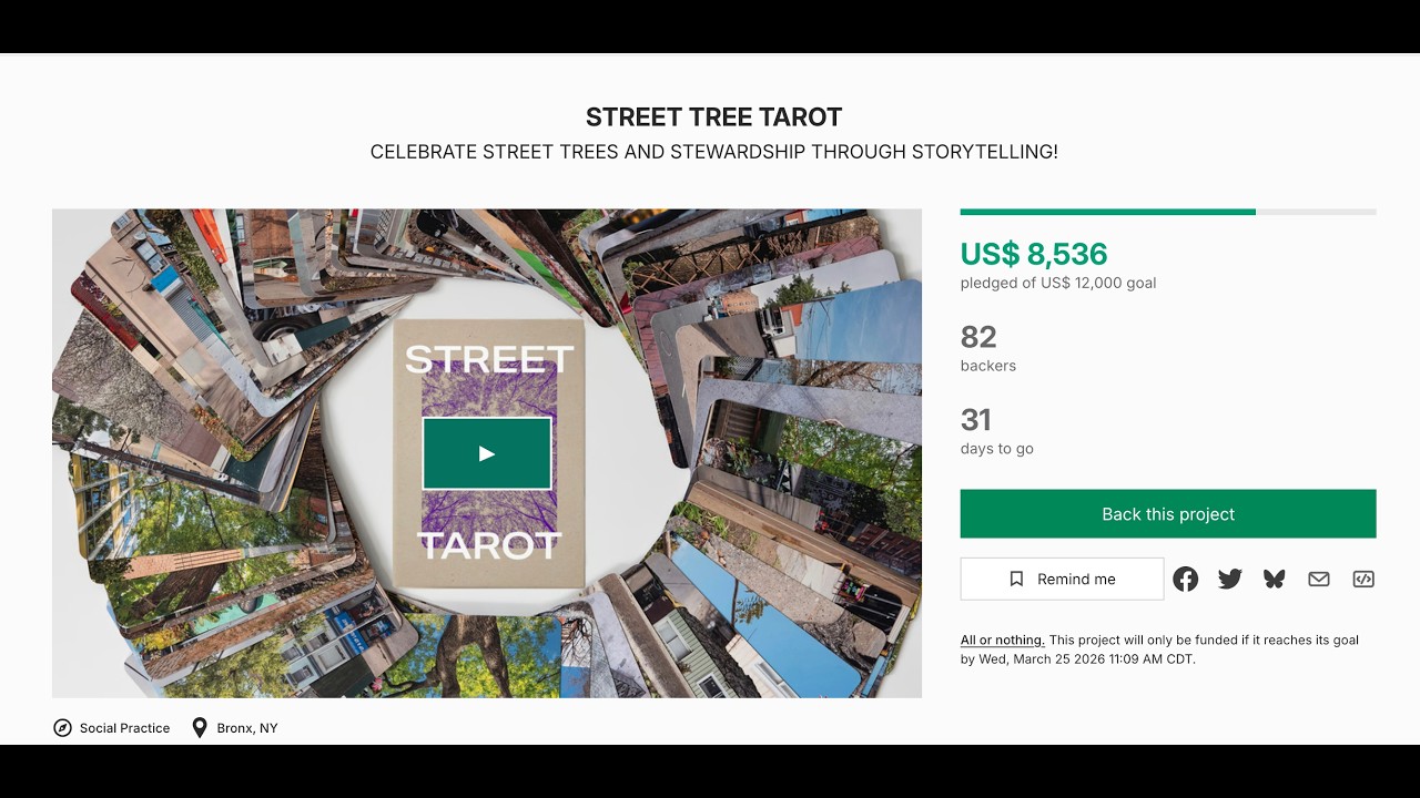 ASMR Current Tarot/Oracle Kickstarter Showcase: Street Tree Tarot