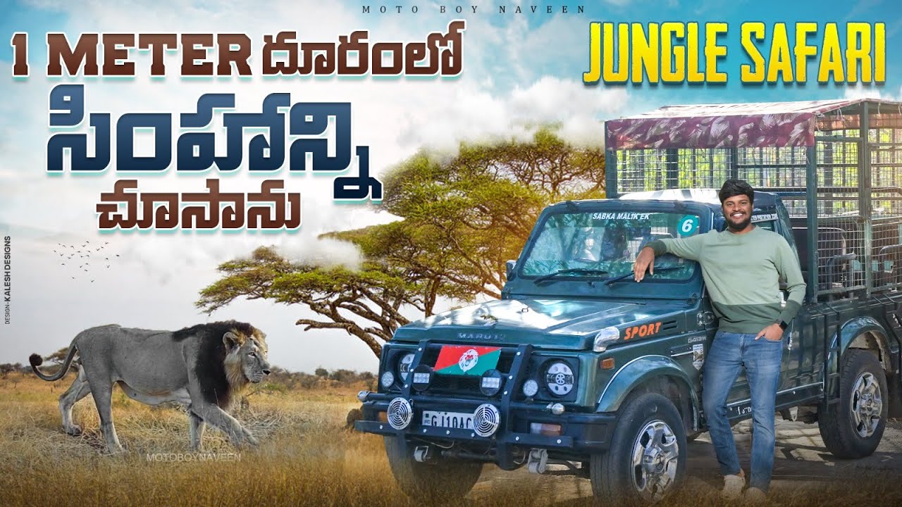 1 Mtr  దూరం లో సింహాన్ని చూశాం | GIR NATIONAL PARK | JUNGLE SAFARI | MOTOBOYNAVEEN