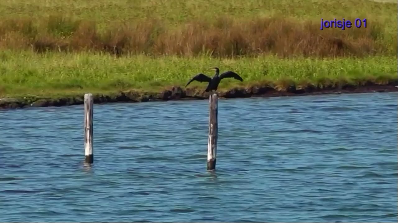 Vakantie in Zeeland juni 2025
