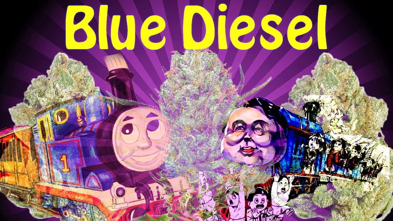 BLUE DIESEL STRAIN REVIEW | SERGEANT GREEN LEAF