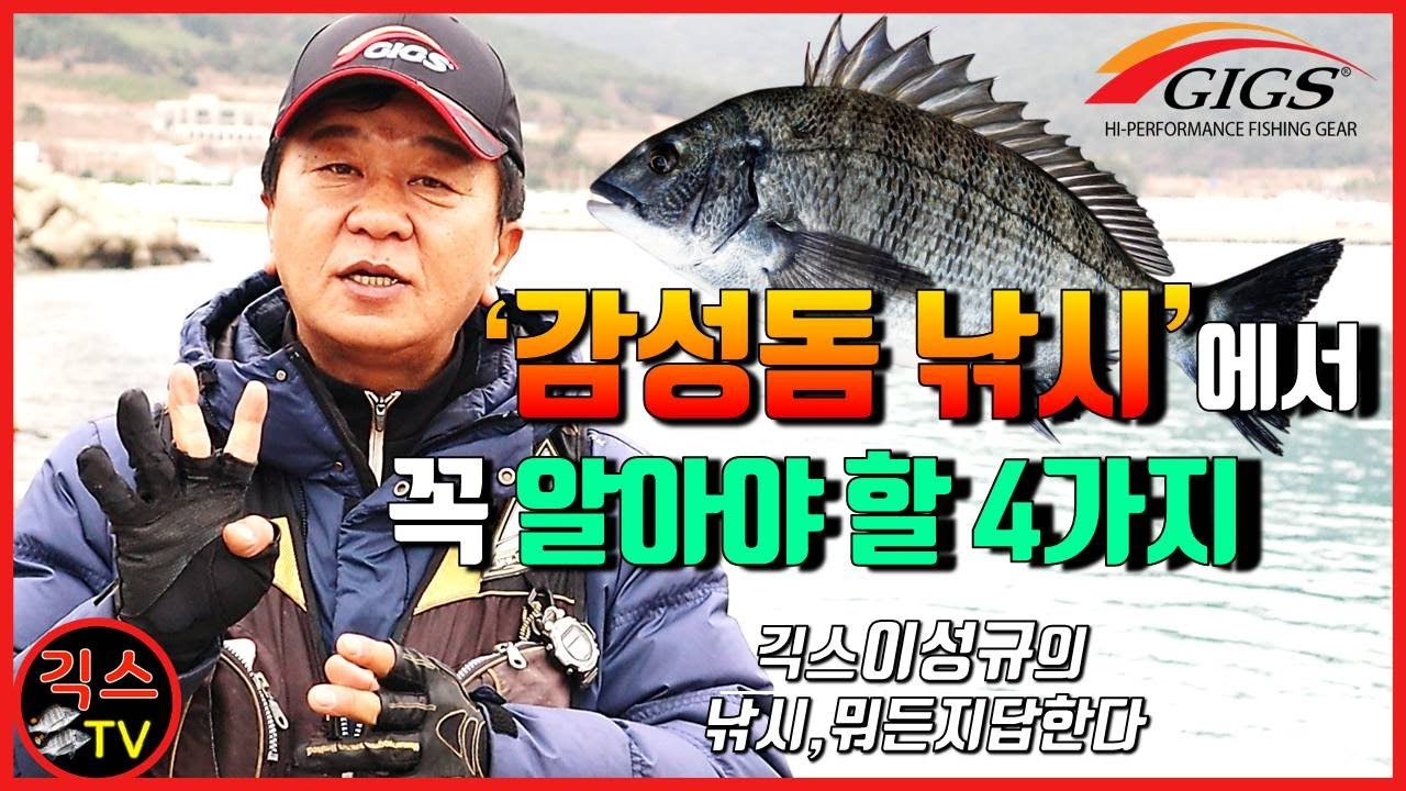 [낚시,뭐든지답한다 #4] 감성돔낚시에서 꼭 알아야할 4가지(물때꿀팁+팩트폭행有)[긱스TV]