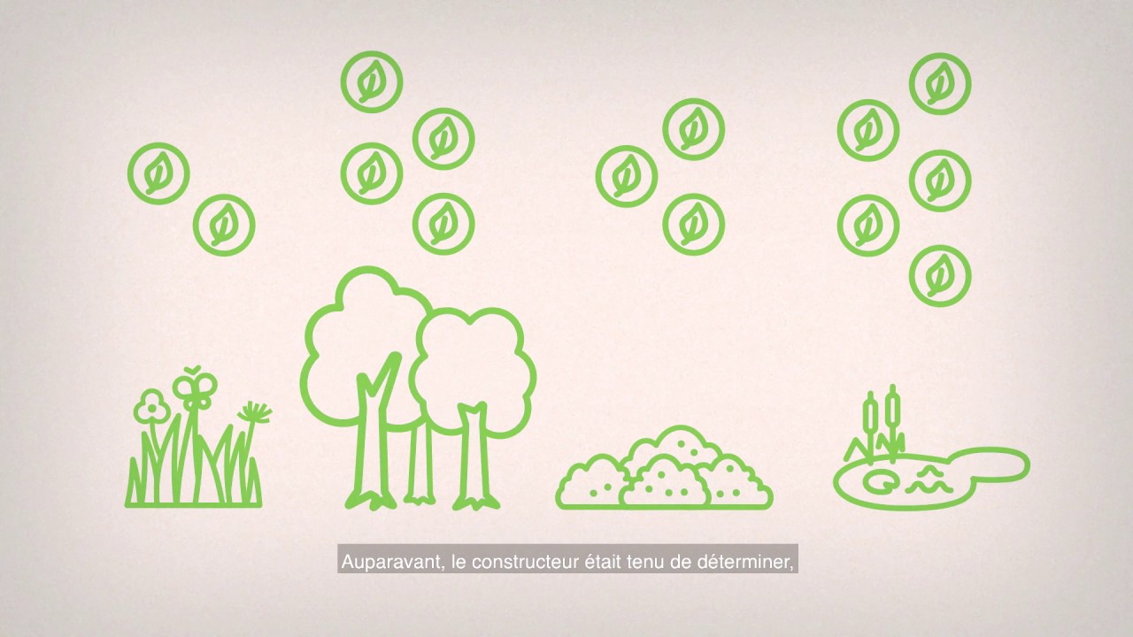 Animation sur le principe de compensation au Luxembourg