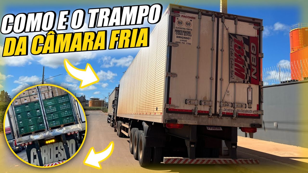 EXPLICANDO COMO É TRABALHAR COM CÂMARA FRIA