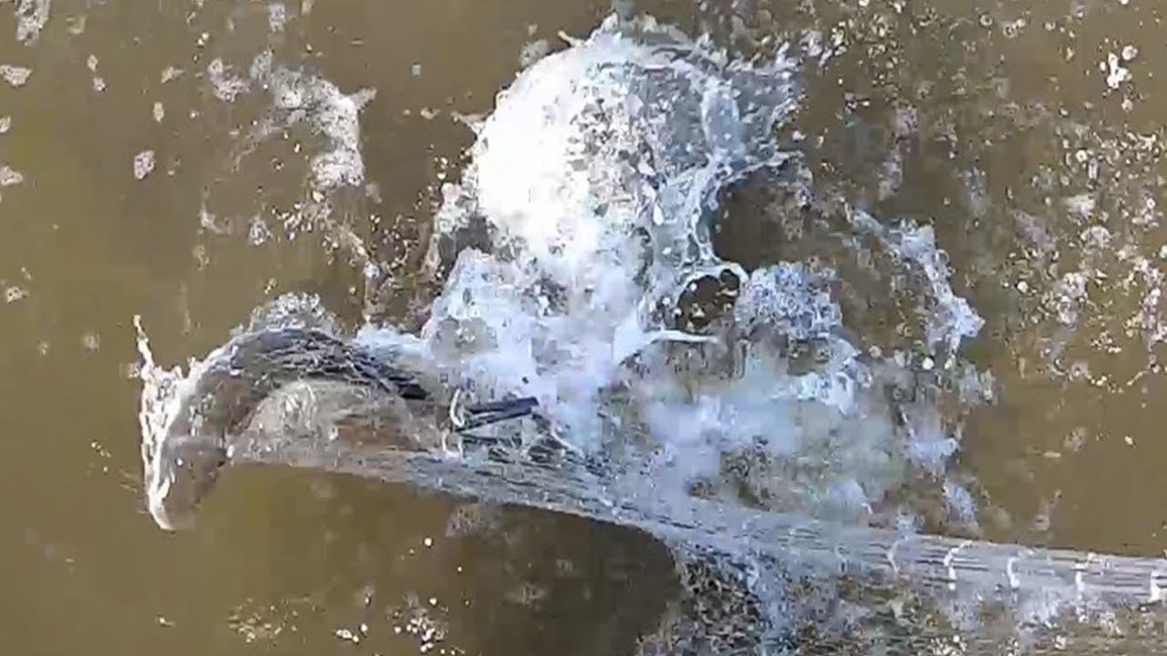 As Tainhas enlouqueceram ( PESCA DE TARRAFA )
