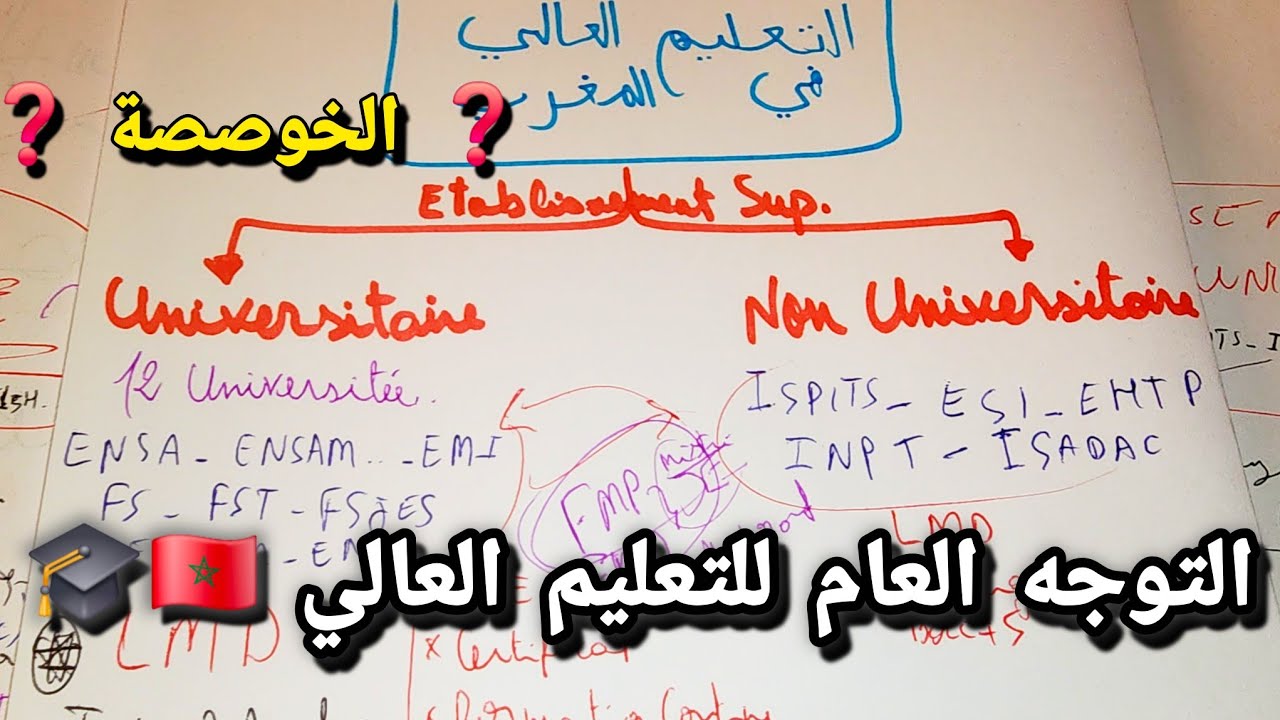 التعليم العالي في المغرب 🇲🇦 البنية العامة و تقسيم المؤسسات العليا و توجه وزارة التعليم العالي 🎓🧑🏻‍🎓
