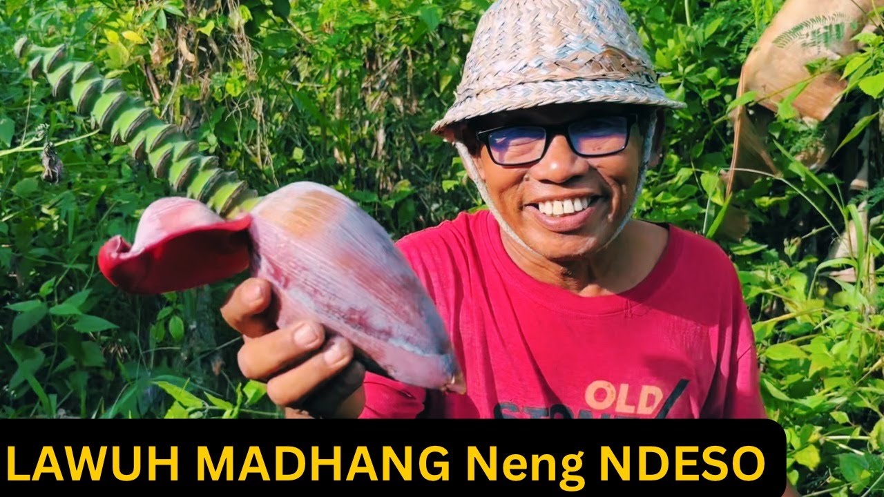 CARA WONG NDESO MASAK SAYUR ONTONG | Sederhana Ning Kebon