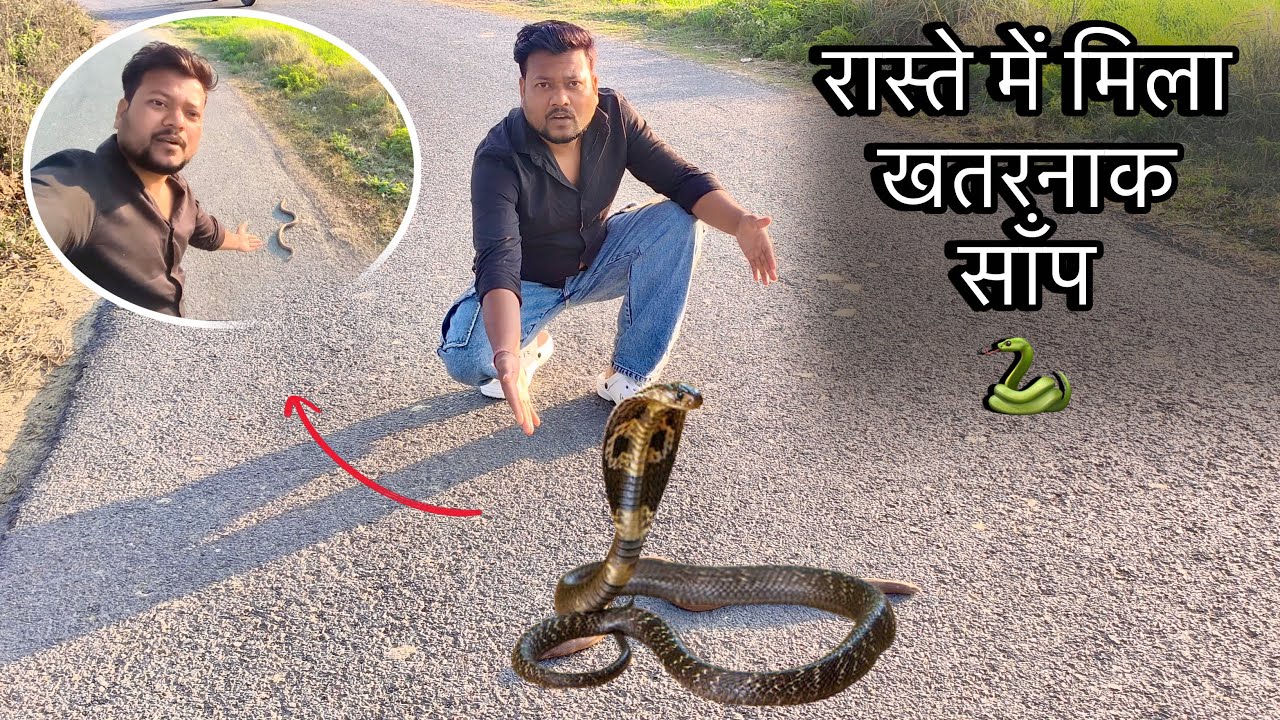 Aaj Saap Ne Mera Rasta Roka🐍😨|| Snake  arun sona lifestyle | arun sona vlog #lovemarriagecouplevlog 