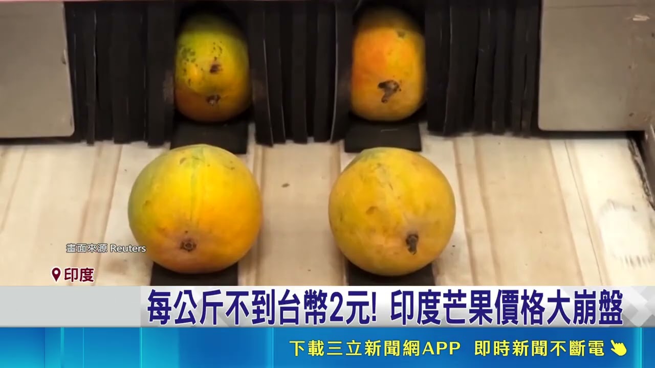 Less Than NT$2 Per Kilo! India's Mango Market Crashes: Hit by War and Climate, Farmers Dump Crops...
