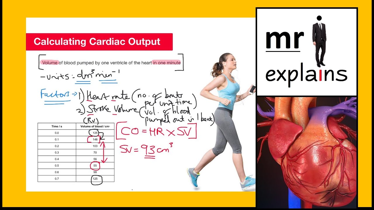 mr i explains: Calculating Cardiac Output