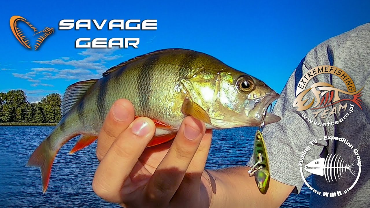 Savage Gear cykada Switch Blade