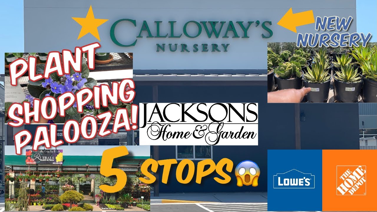 194: Plant Shopping Palooza! | Grand Opening New Calloway&rsquo;s +4 Other Plant Nurseries | Dallas, Texas