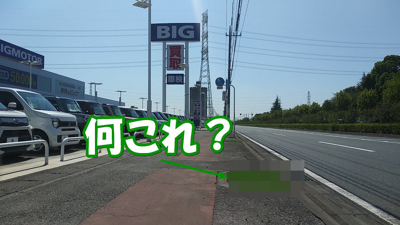 【ビッグモーターの闇】ビッグモーター太田店前 街路樹の代わりに謎のものが！