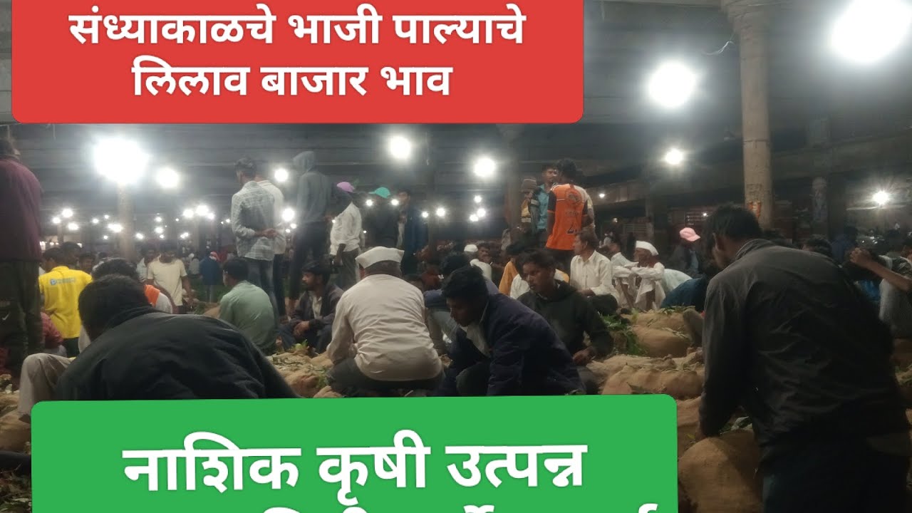 रविवार १ मार्च २०२६संध्याकाळचे भाजी पाल्याचे बाजार भाव नाशिक मार्केट| Vegetables market nashik